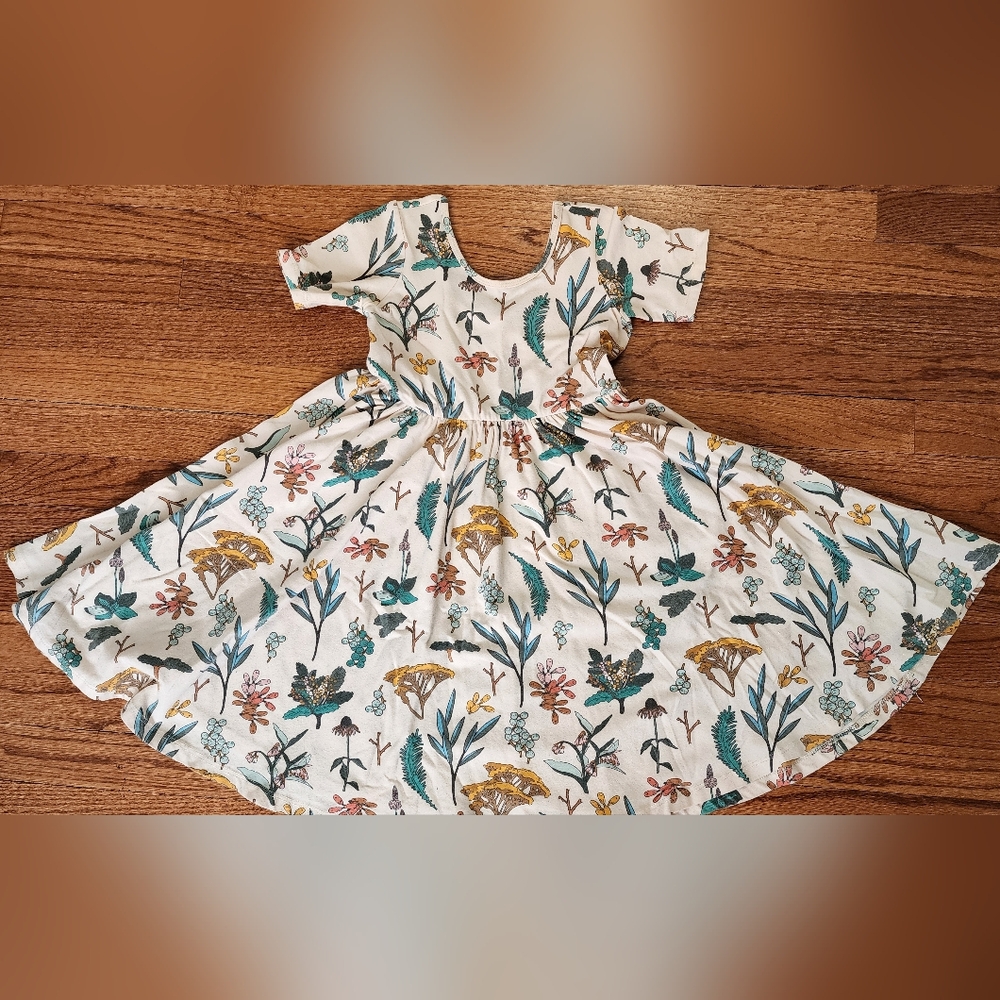 Herbal Study Alice & Ames Dress